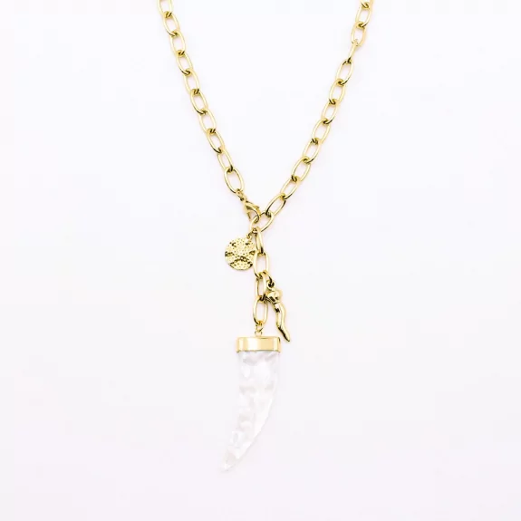 Collier acier pendentif corne et breloques