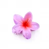 Pince à cheveux - fleur