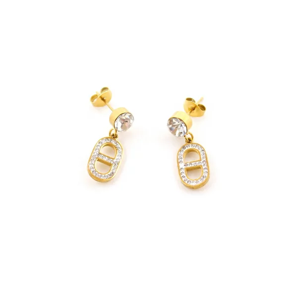 Boucles d'oreilles acier luxe