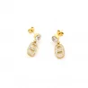 Boucles d'oreilles acier luxe