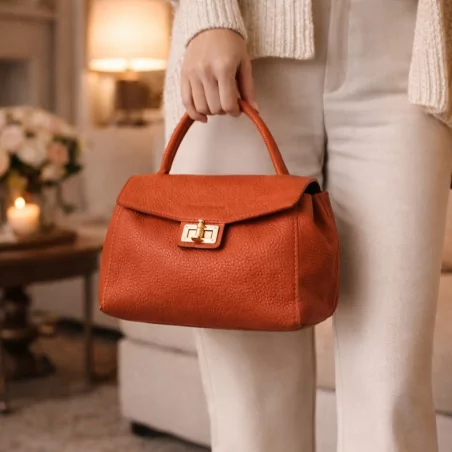 Petit sac à main tendance fermoir pivot