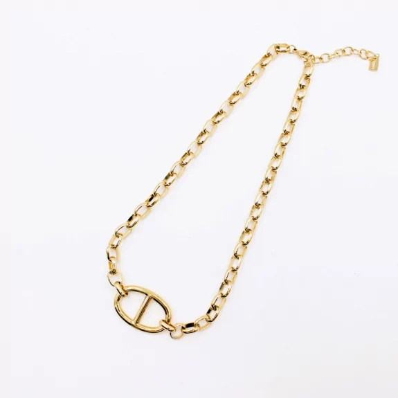 Collier acier inoxydable esprit luxe